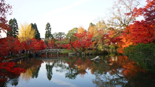 永観堂 池　紅葉2.jpg