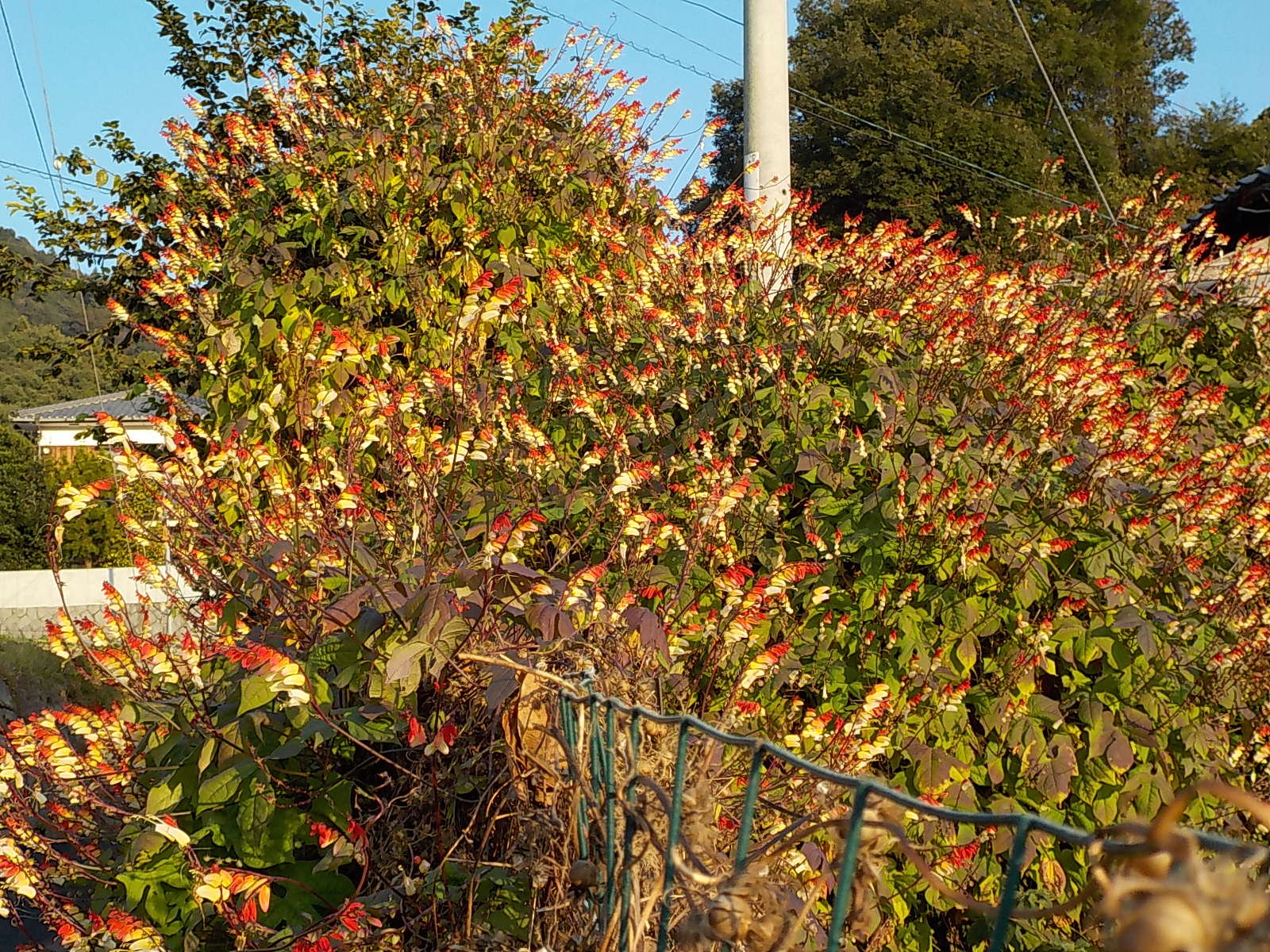 DSCN0573.JPG
