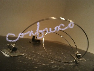 megei 2015 Nyloid.jpg