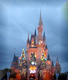 TDL1.jpg