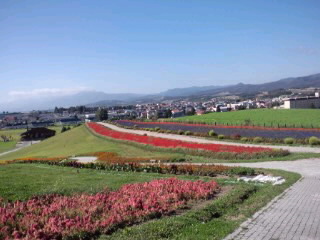 日の出公園 花壇遠景0001.jpg