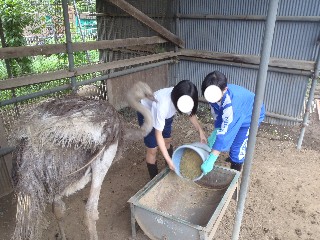 13新座５中実習22.6.20.jpg