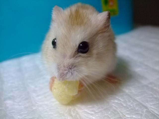 1408140054.JPG