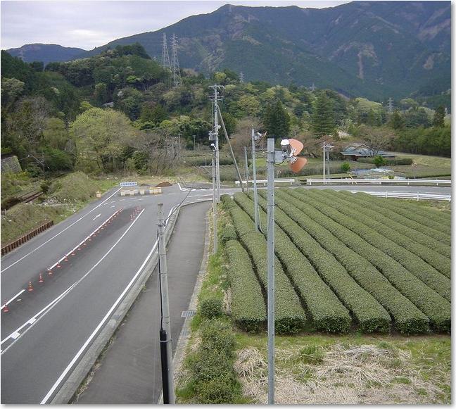 09左の道路は橋へ.JPG