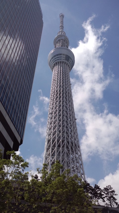 スカイツリー(1階地上より).jpg