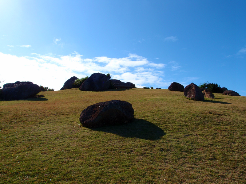 P1210537.jpg
