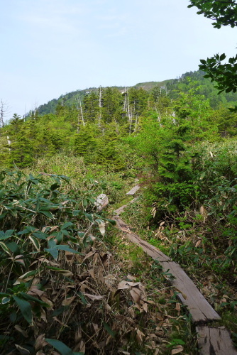 田代山420140524.jpg