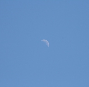 IMG_7870.JPG