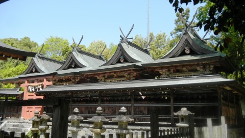 011多神社(V.2012_04_28__07_01_56).jpg