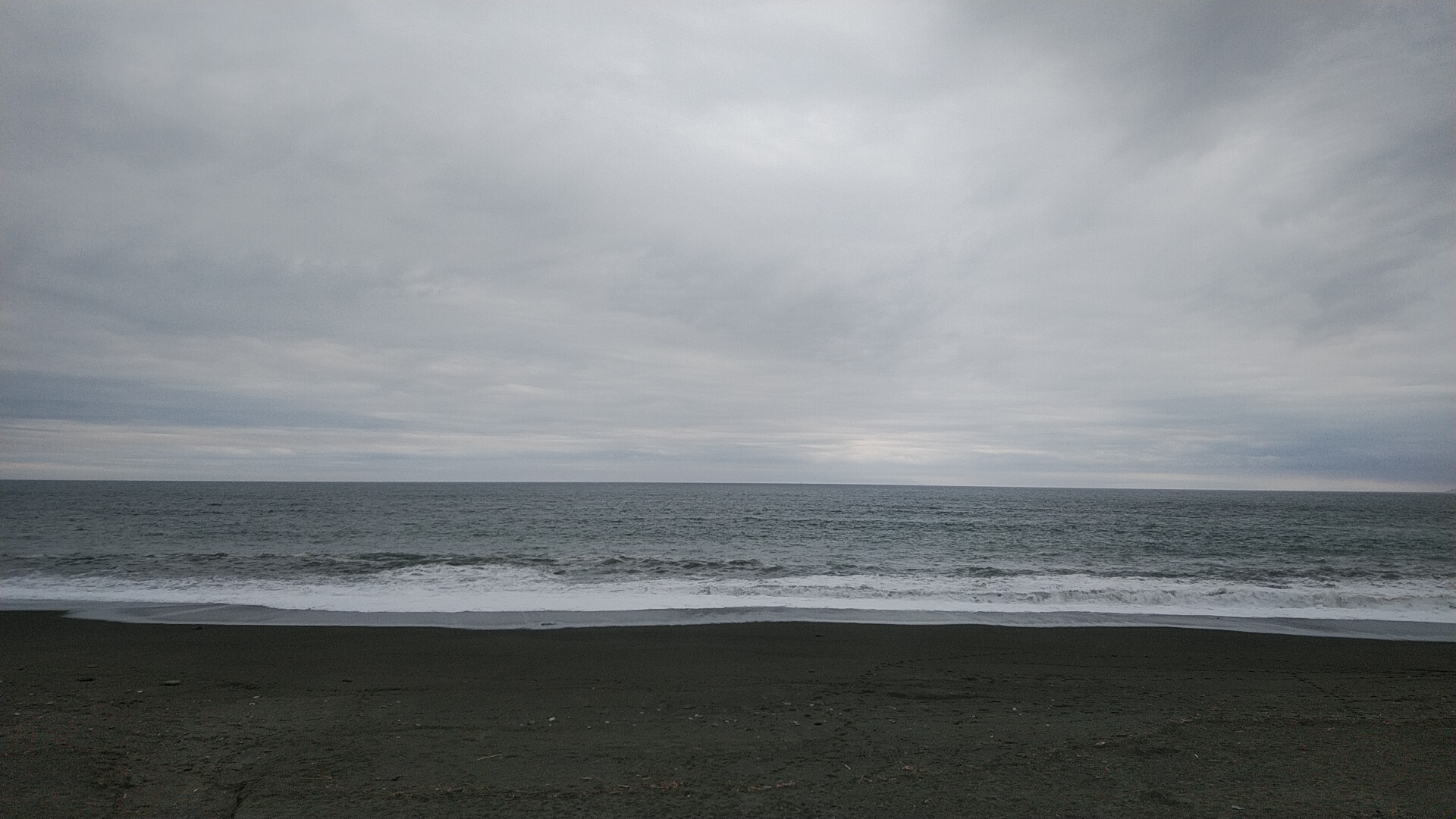 20220327  DSC_0006.jpg