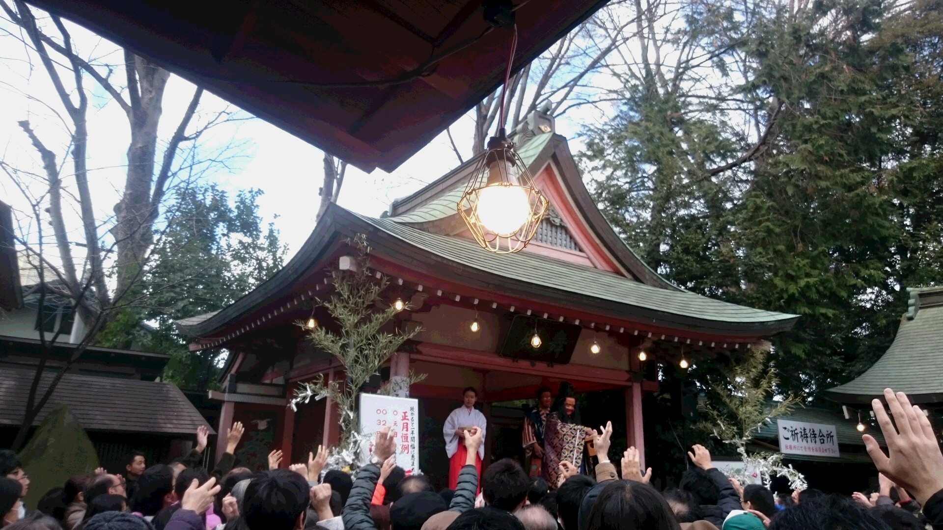 2017川越氷川神社2.JPG