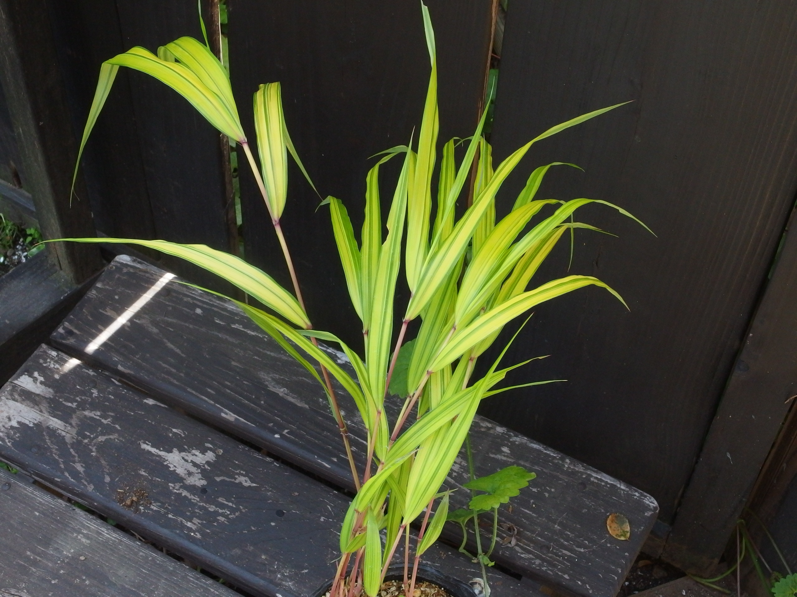 2015-05-30 13.16.09.jpg