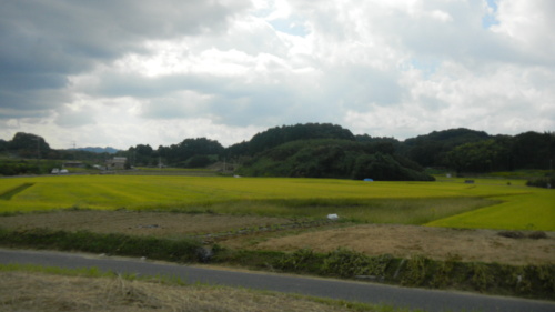 011磐余池跡.JPG