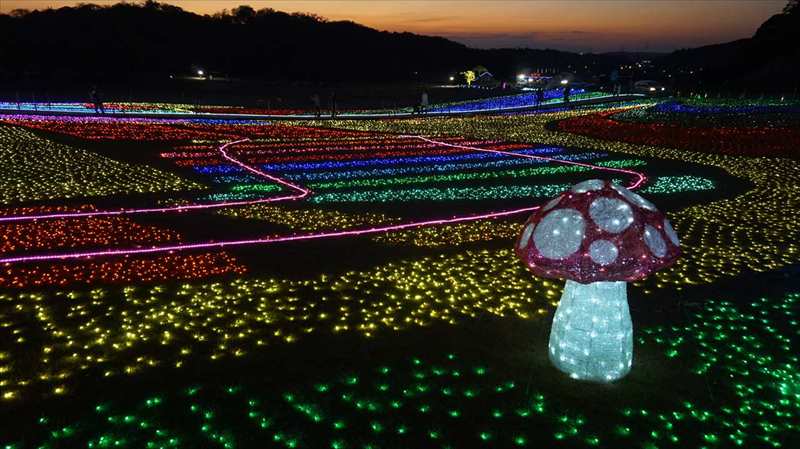 20141119 16572901.JPG