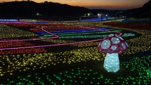 20141119 16572901.JPG