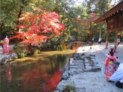 上賀茂神社 (16).jpg