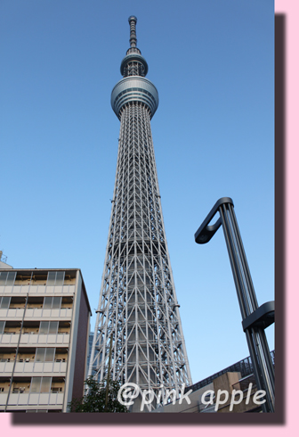 スカイツリー駅近く.JPG