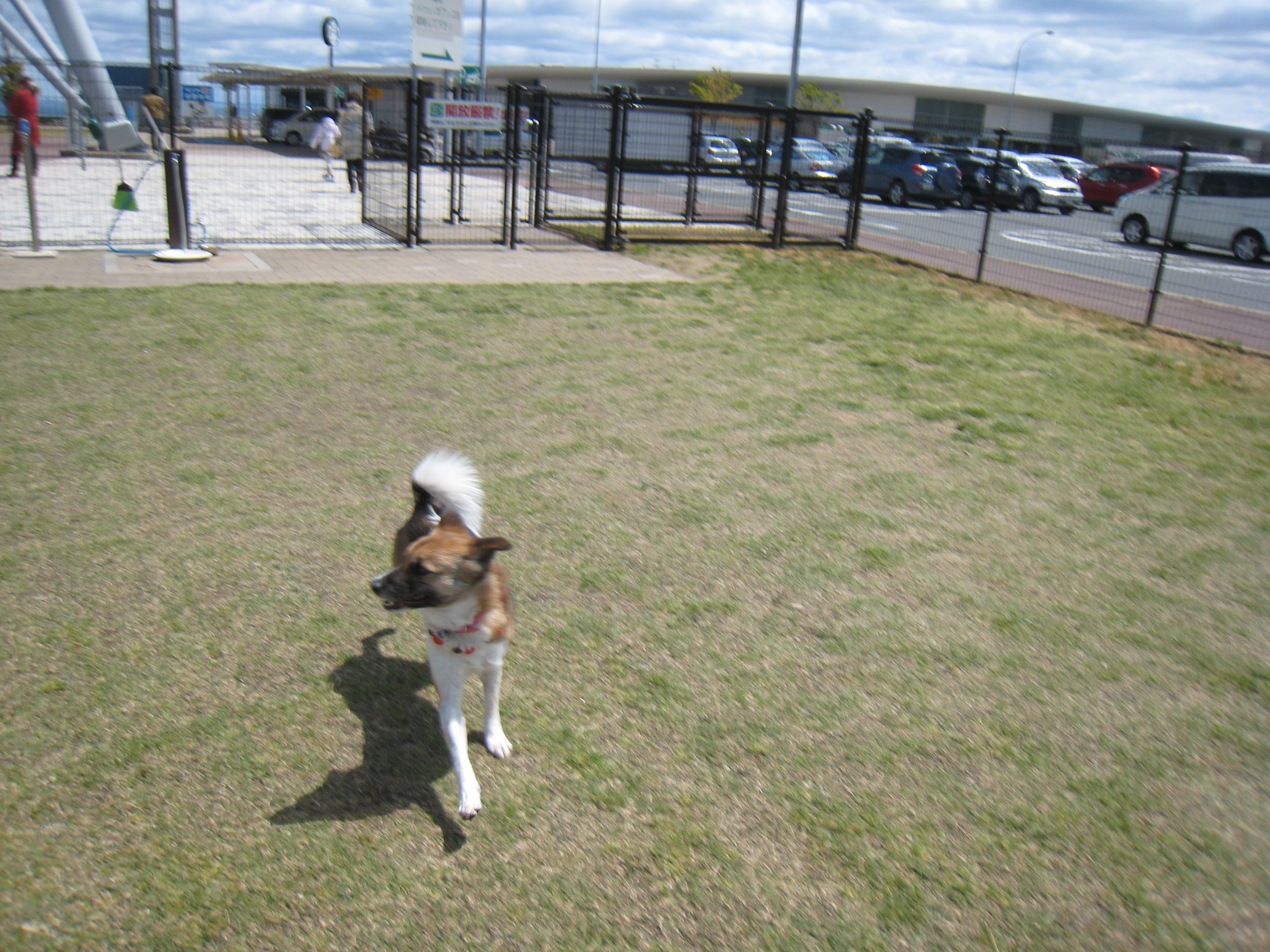 IMG_0061.JPG