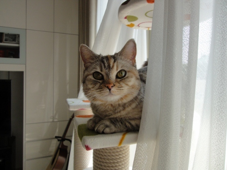 DSC00966 (448x336).jpg