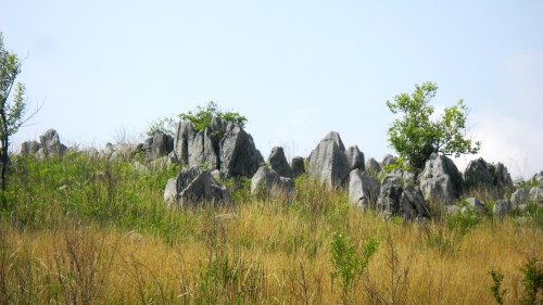 009カルストロード (5).JPG