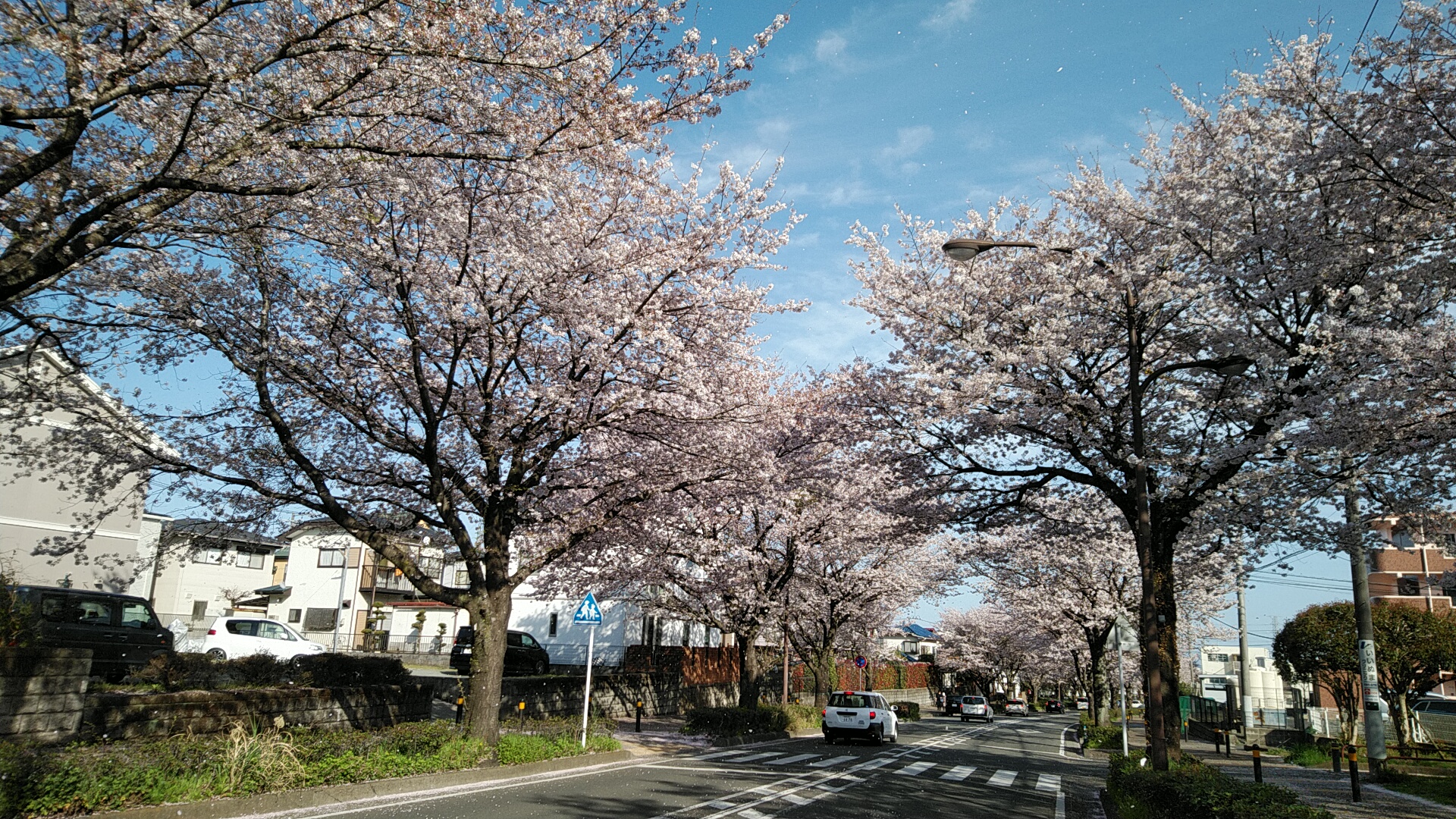 20220406  DSC_0007.jpg