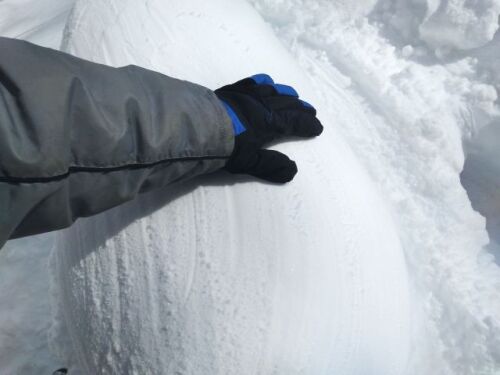 250209snowfig2.jpg