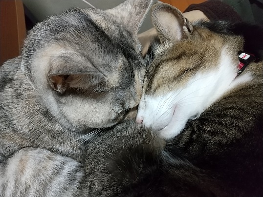 DSC_1494.JPG