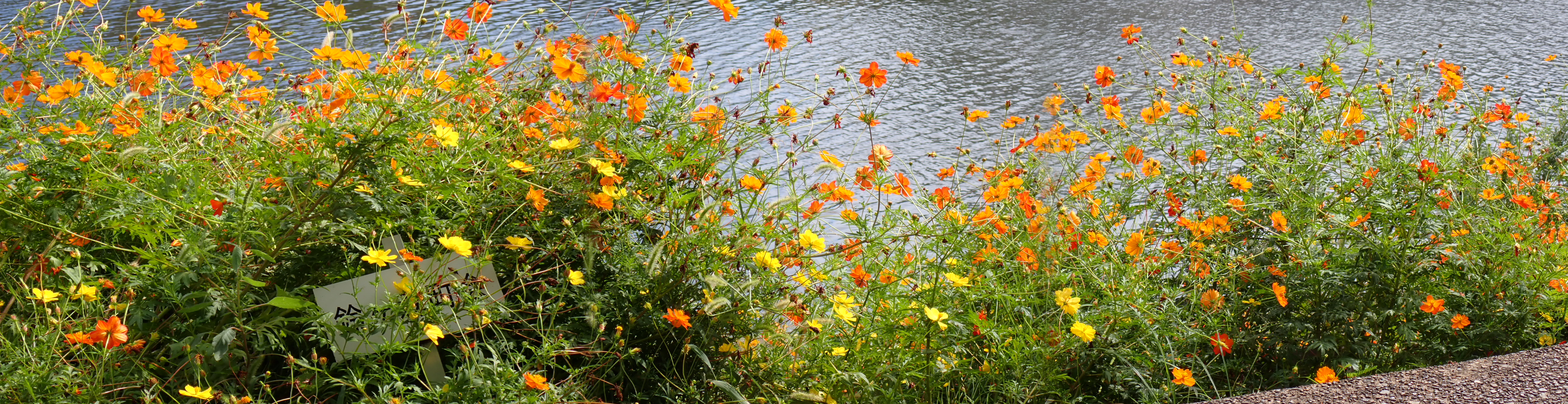 PA021079.JPG