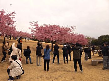 250315e.jpg