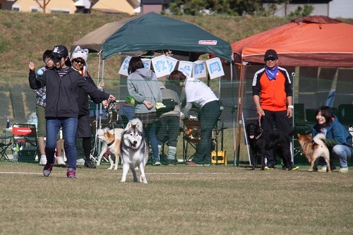 18運動会 チーム対抗ボール運びリレー 1回戦 スケジュール 活動報告 楽天ブログ