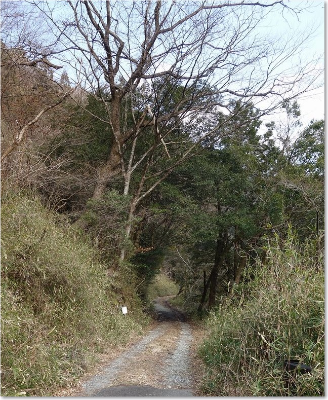 48この道に入りました