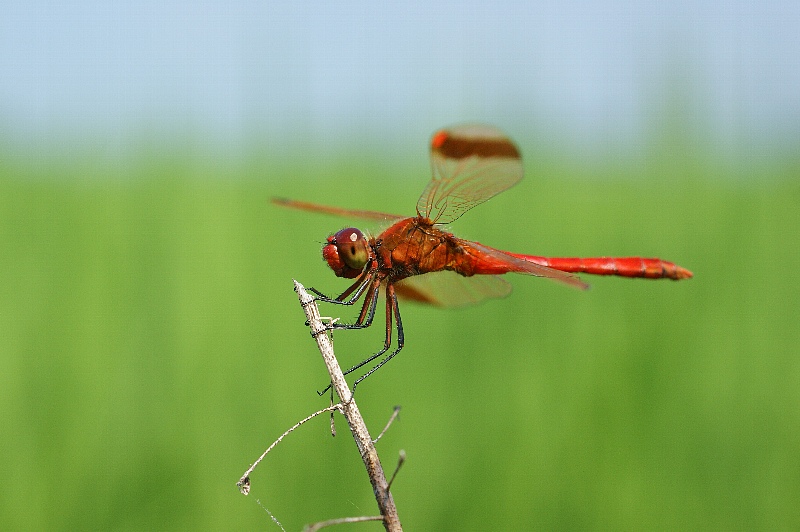 0707-6.jpg