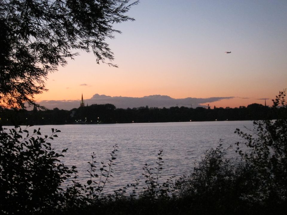 IMG_8272.JPG