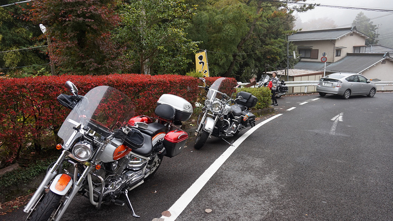 20141112 11552901.jpg