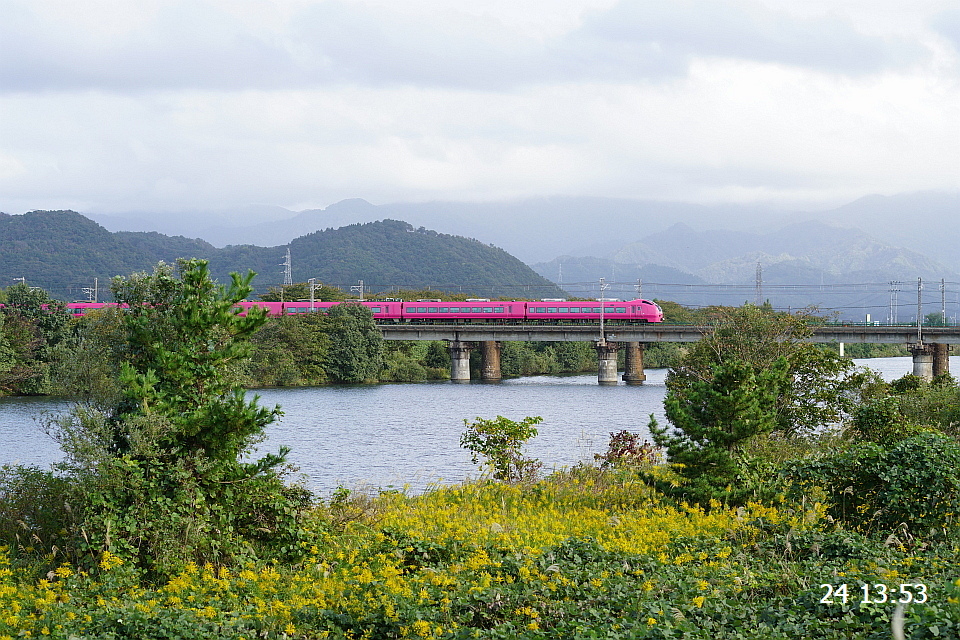 DSC049280001.JPG