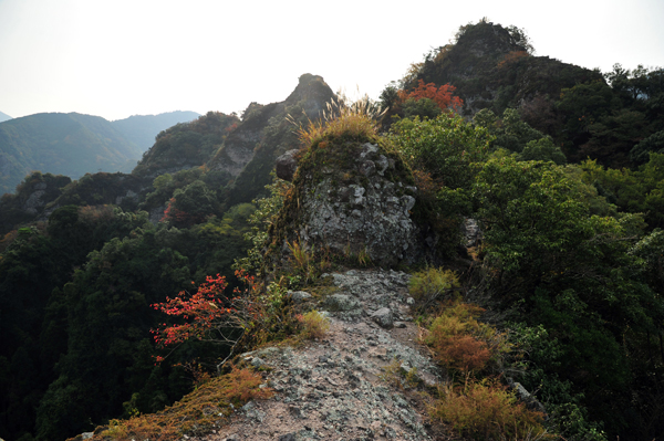 DSC_7359ヤセ尾根２.jpg