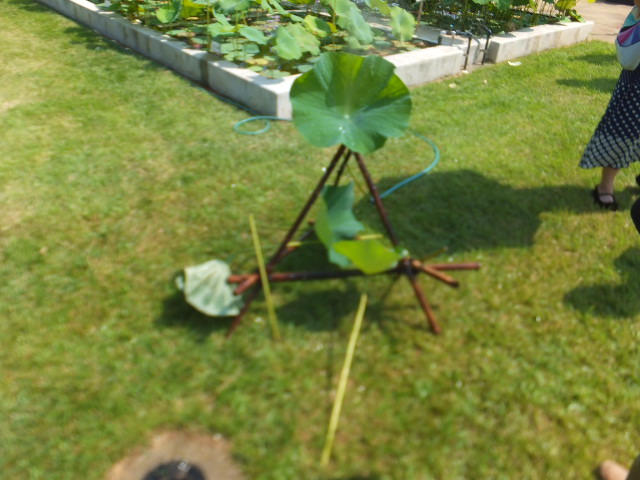 DSCF2760.JPG