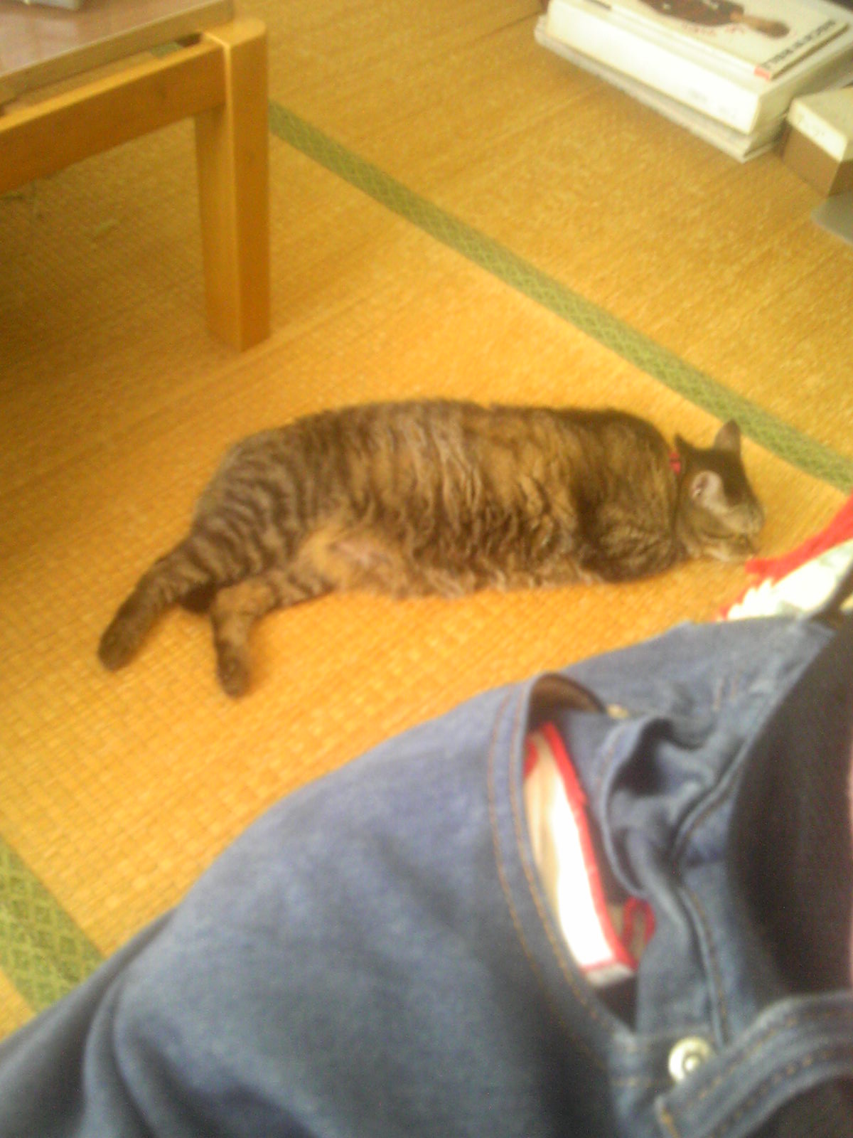 180827_102829.jpg