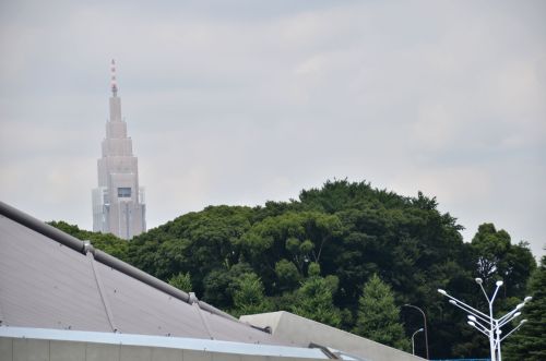 DSC_0026遠く離れていても必ずつかみたい.jpg