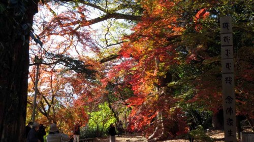 富貴寺 (3).JPG