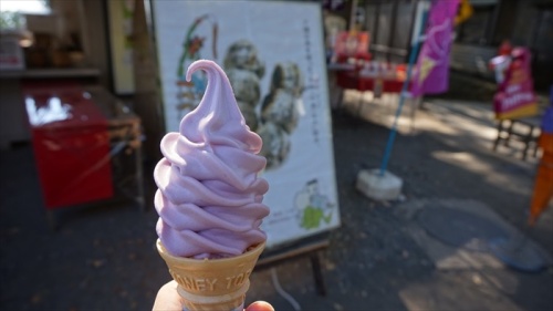 20151025 10075101.JPG