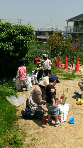 IMG_201305138597.jpg
