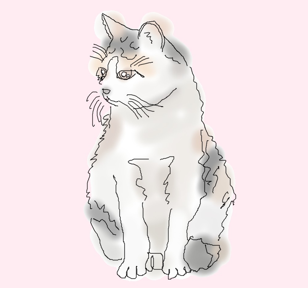 カズ (70).jpg