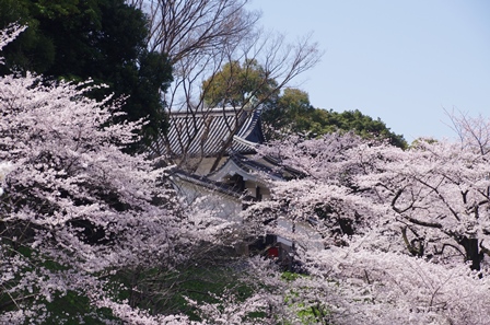 4月12日.jpg