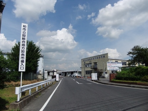 柏市公設総合地方卸売市場１20120828.JPG