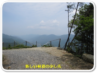 上深川（新しい林道１）_5853.jpg