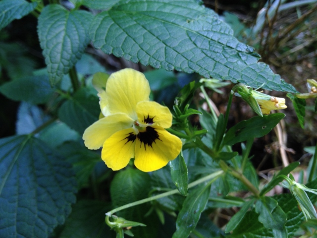 IMG_0469 (640x480).jpg