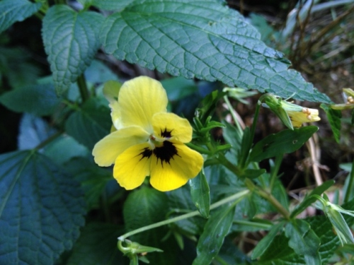 IMG_0469 (640x480).jpg