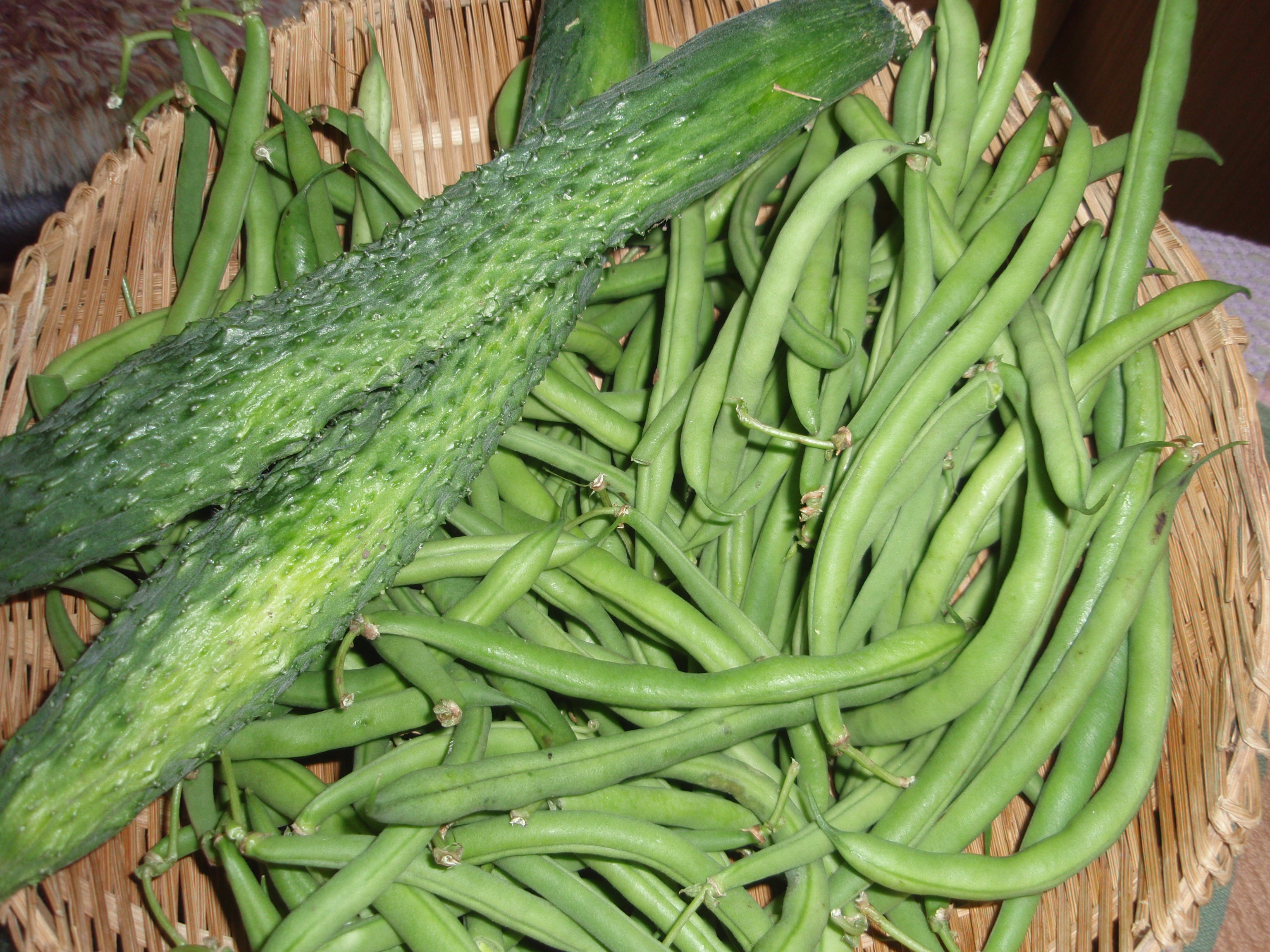 はねもの、捩子花、かぼちゃ 002.jpg