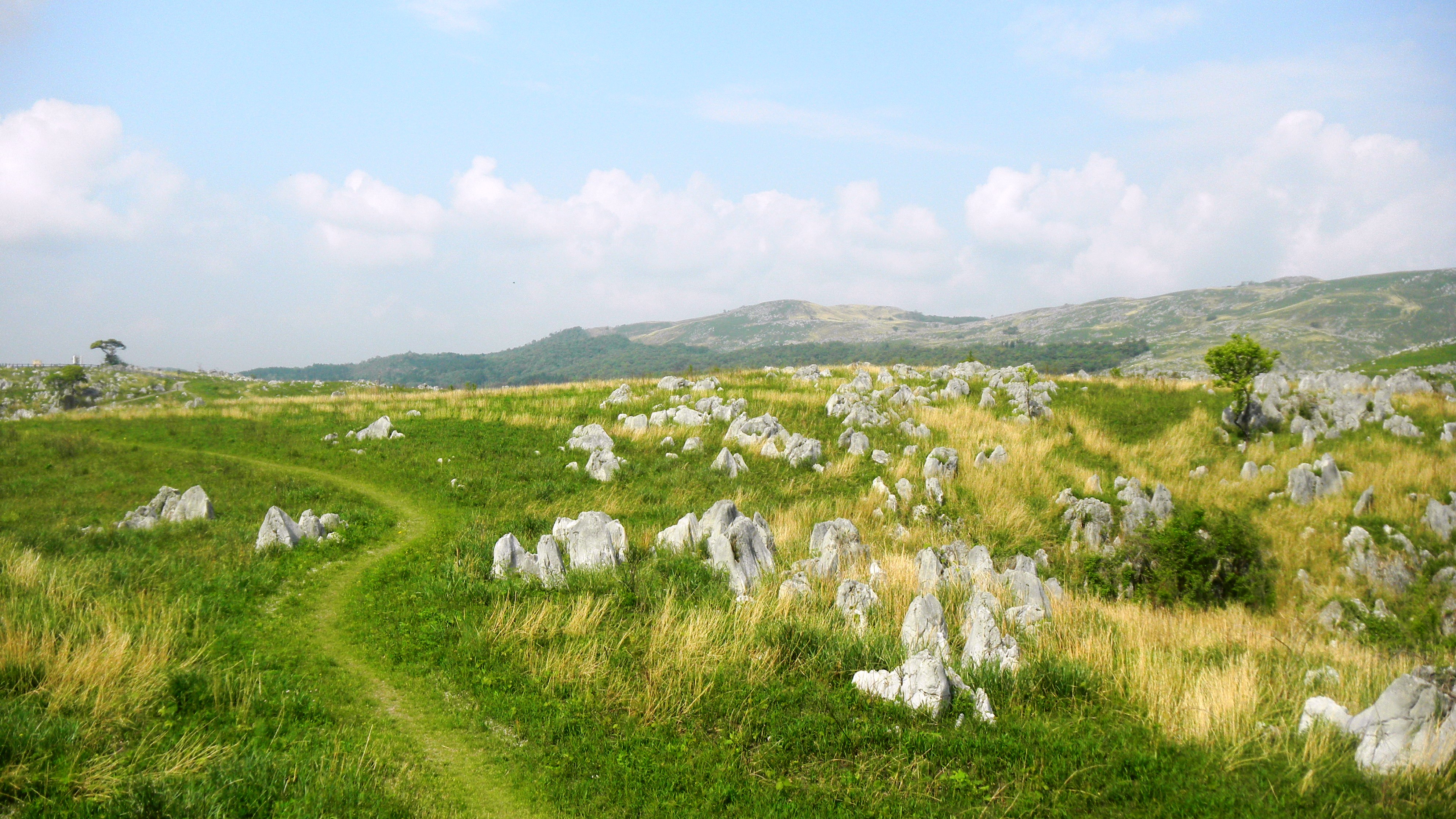 003カルストロード (2).JPG